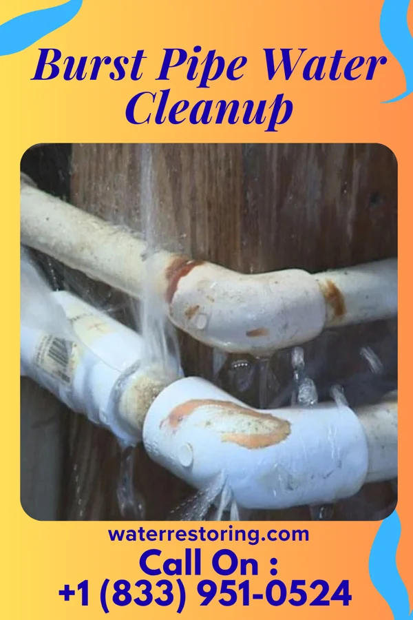Burst Pipe Water Cleanup in Montreal, WI