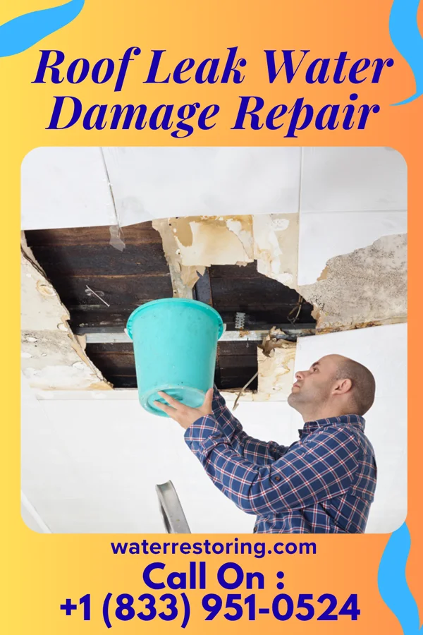 Roof Leak Water Damage Repair in Montreal, WI