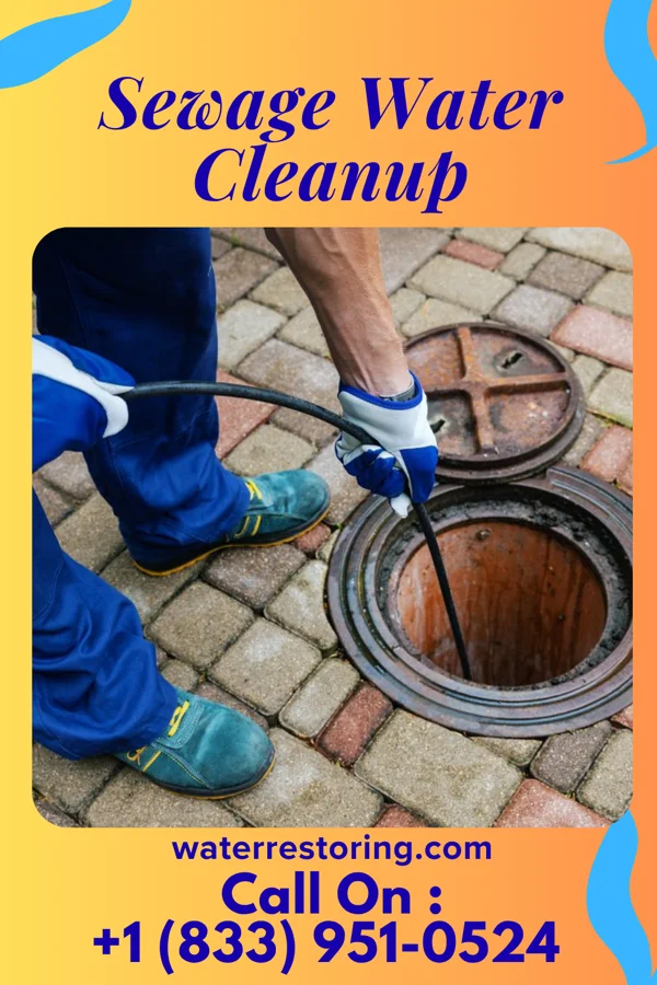 Sewage Water Cleanup in Montreal, WI